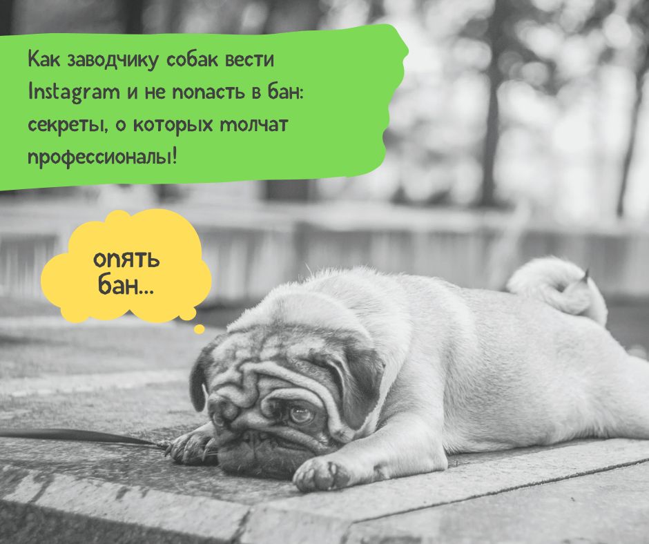 Охват